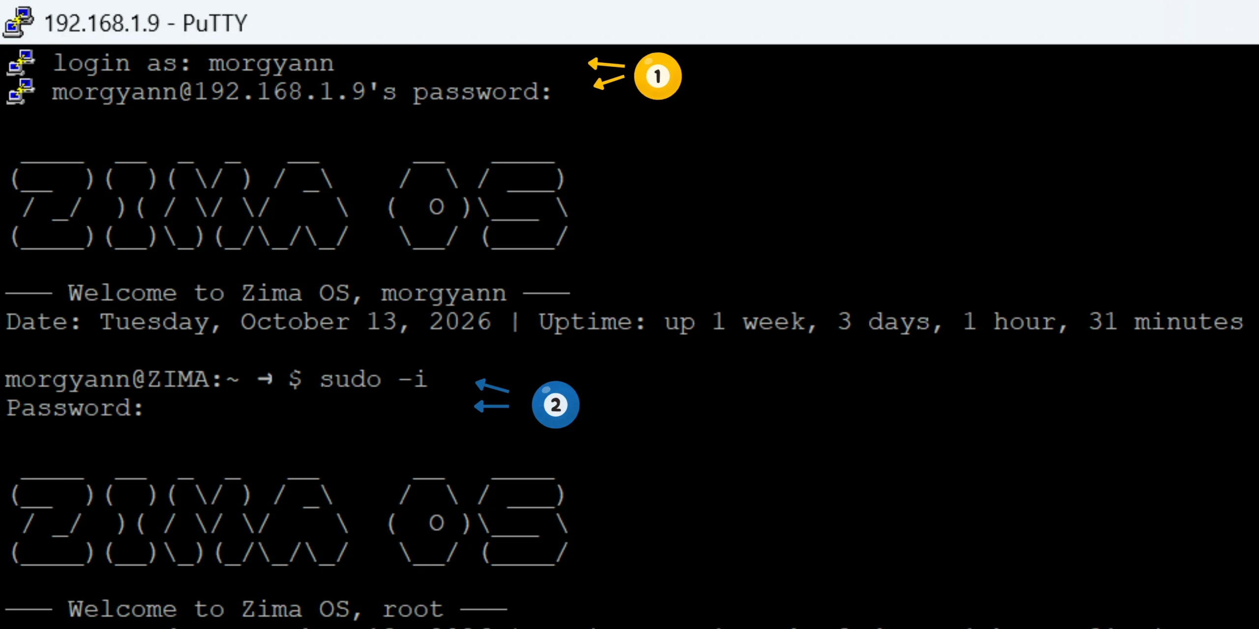 Acccès SSH et passer et root