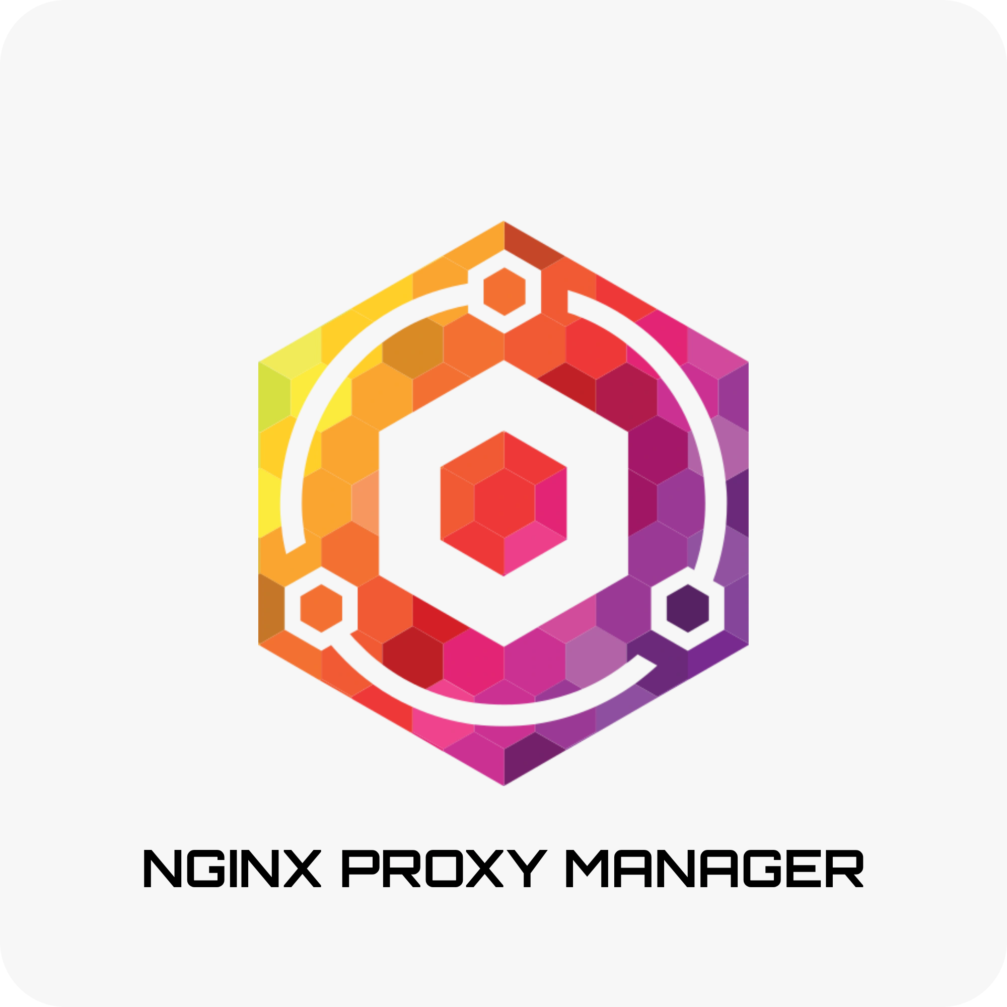 Nginx Proxy Manager